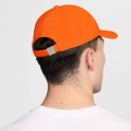 xlarge_clean.jpg