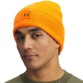 278591.jpg