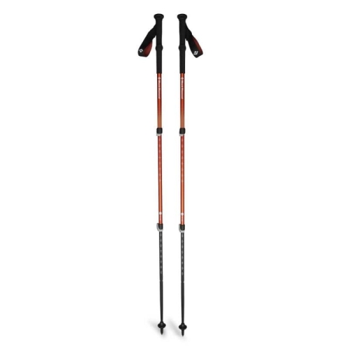 xlarge_clean.jpg