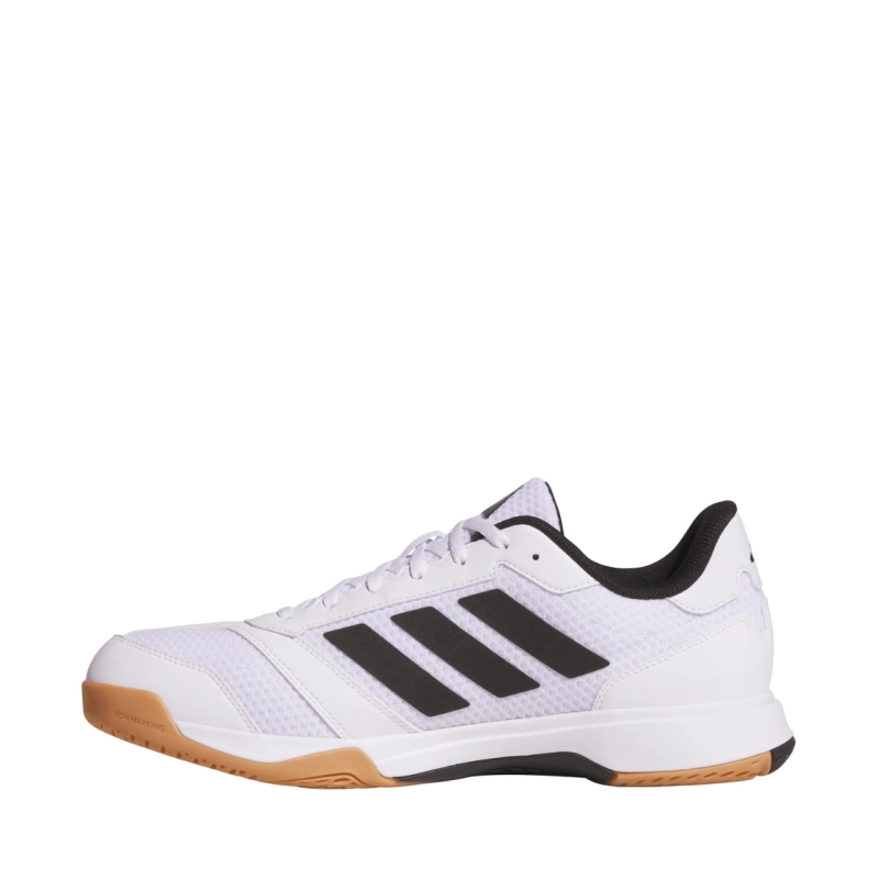263249.jpg