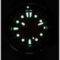 31124_6.jpg