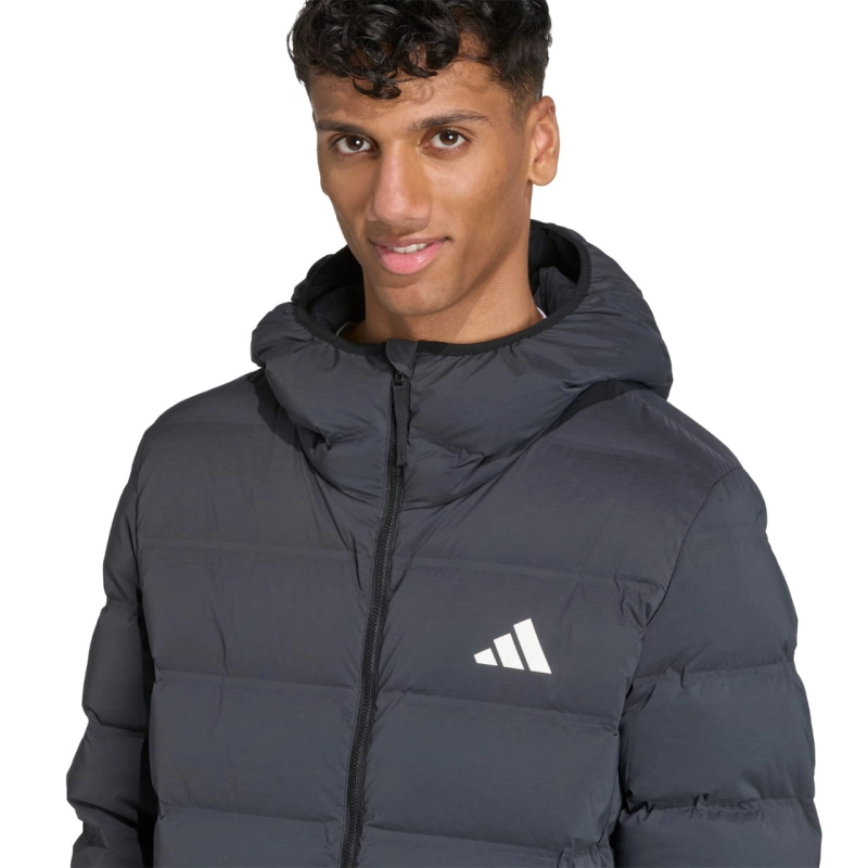 286280.jpg