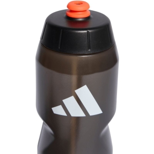 xlarge_clean.jpg