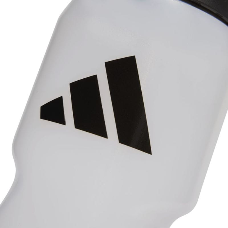 xlarge_clean.jpg
