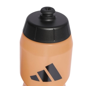 xlarge_clean.jpg