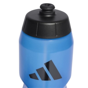 xlarge_clean.jpg