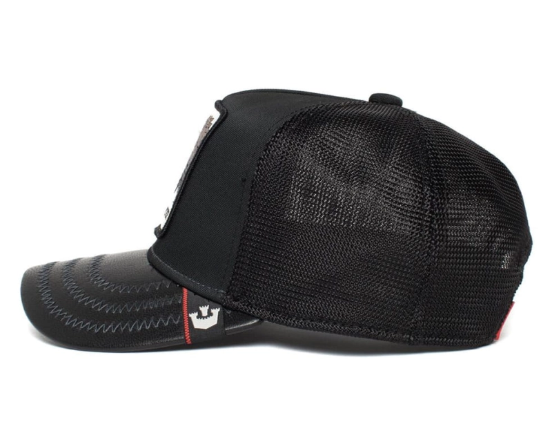 Czapka Goorin Brothers dla dzieci.jpg