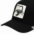 xlarge_clean.jpg