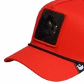 xlarge_clean.jpg