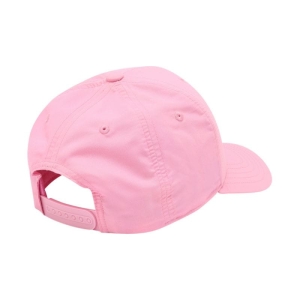 xlarge_clean.jpg