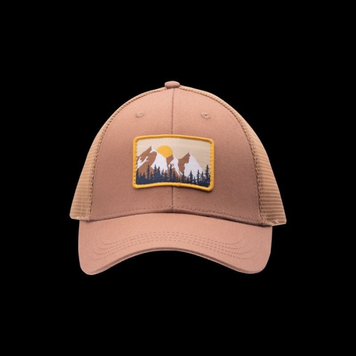 xlarge_clean.jpg