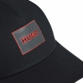 xlarge_clean.jpg