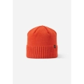 xlarge_clean.jpg