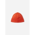 xlarge_clean.jpg
