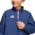 285313.jpg