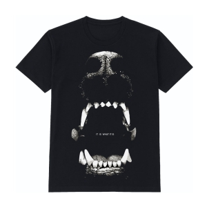 Majors Czarny T-shirt Dobone