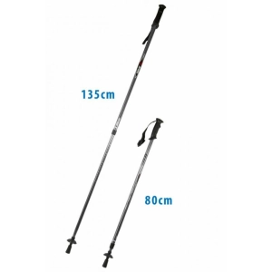 Kijki trekingowe Classic srebrne