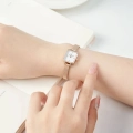 55580_3.jpg