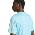 305339.jpg