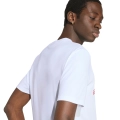 305367.jpg