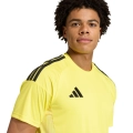 296580.jpg