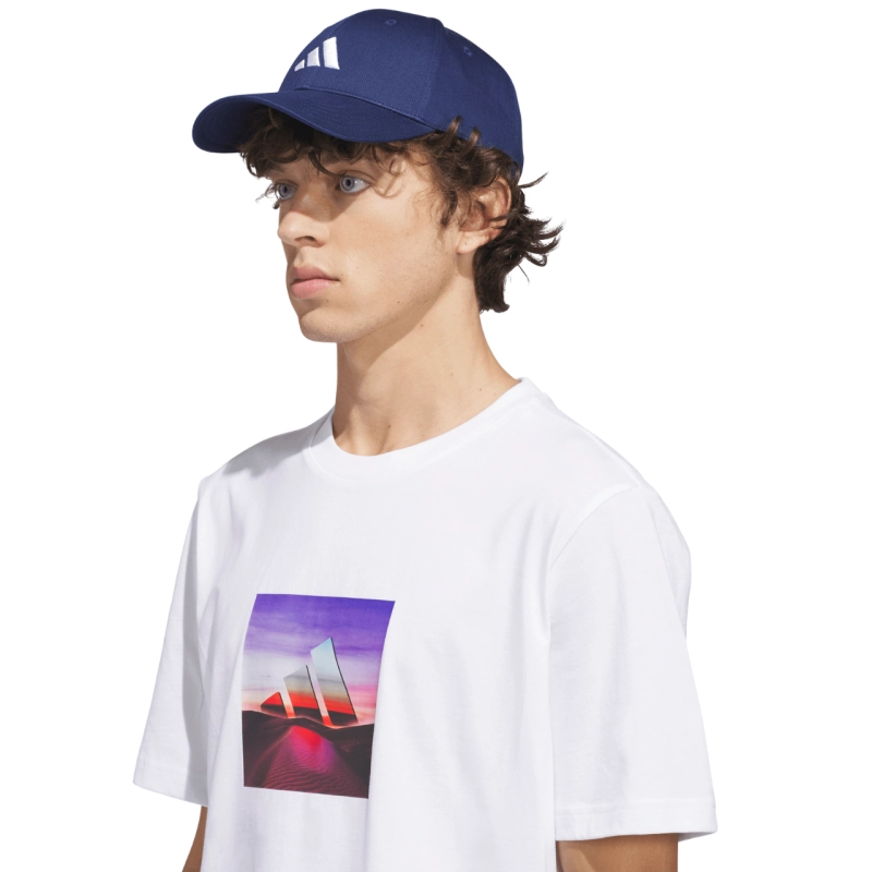 299494.jpg