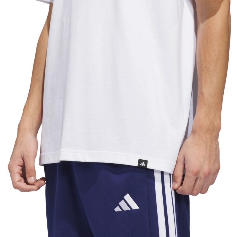 299495.jpg