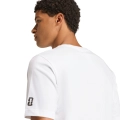 300952.jpg