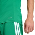 289561.jpg