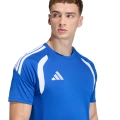 290353.jpg
