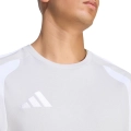 289531.jpg