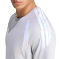 289532.jpg