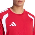 290484.jpg