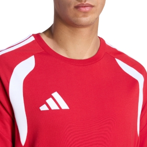 290484.jpg