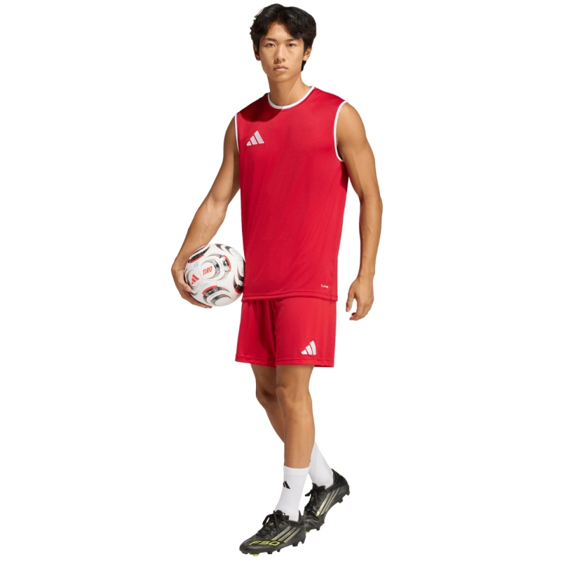 290670.jpg