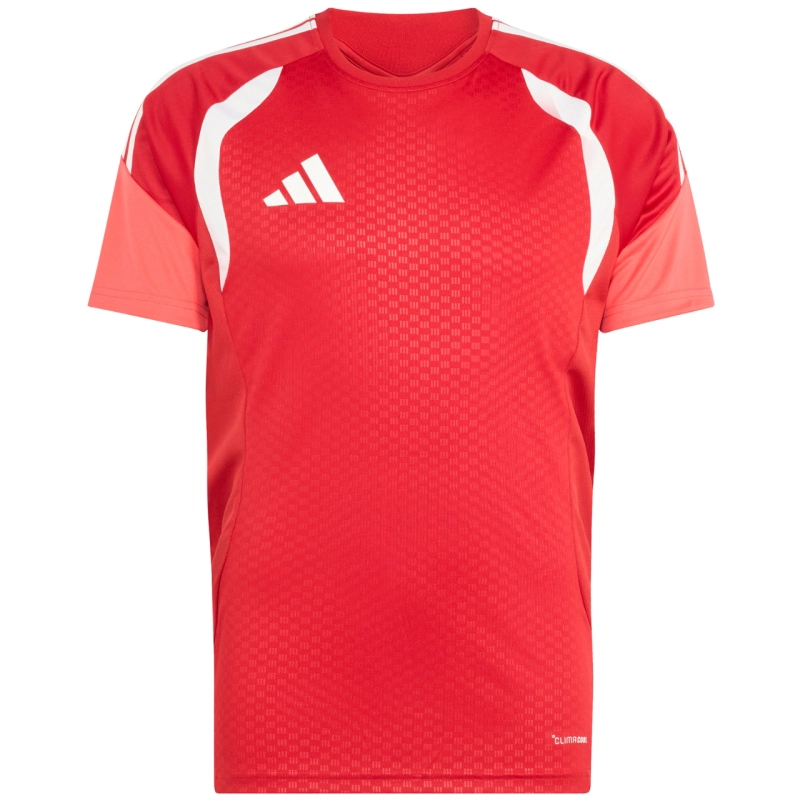 290044.jpg