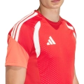 290047.jpg