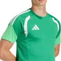 290039.jpg