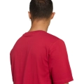290246.jpg