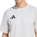 290944.jpg