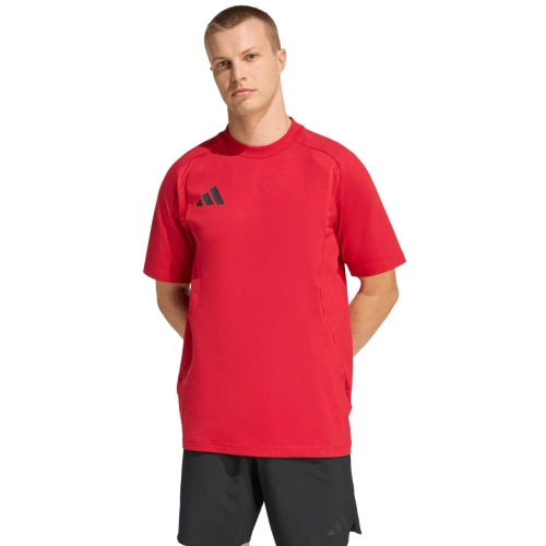 290953.jpg