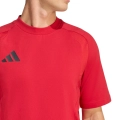 290950.jpg