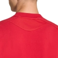 290951.jpg
