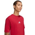 292595.jpg