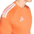 292924.jpg