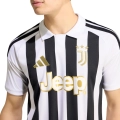 305033.jpg
