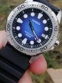 57008_7.jpg