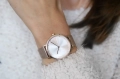 18815_3.webp