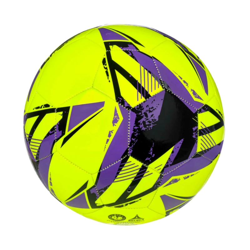 307835.jpg