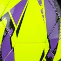 307837.jpg